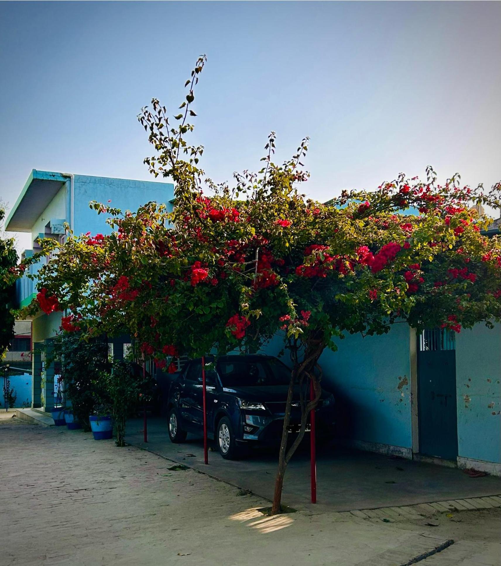 Gooseberry Garden Vila Ayodhya Exterior foto