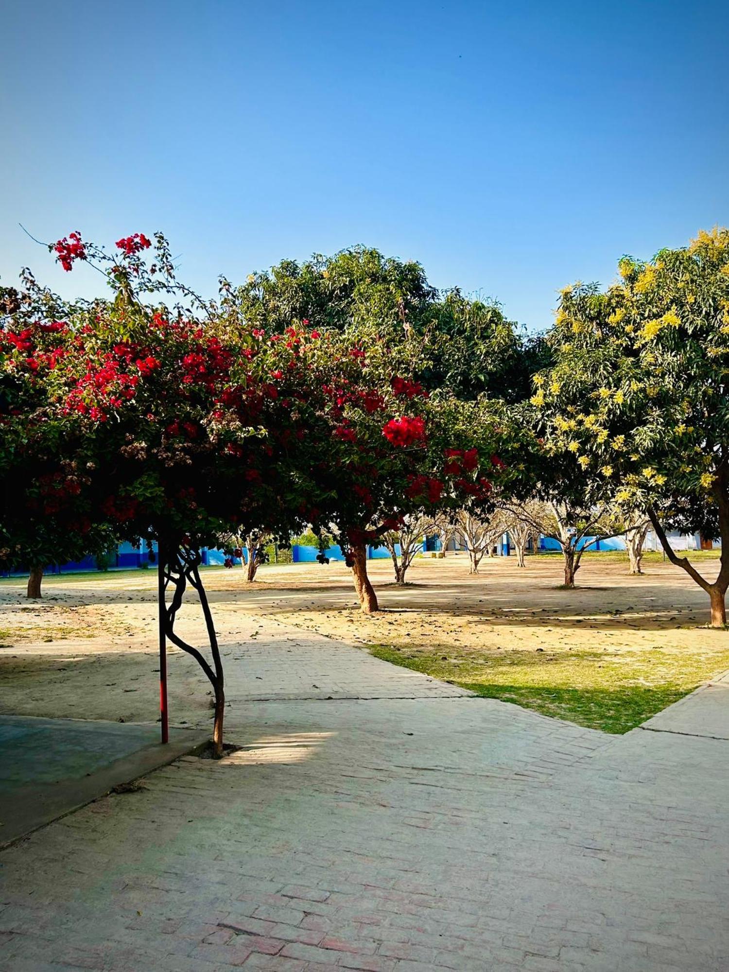 Gooseberry Garden Vila Ayodhya Exterior foto