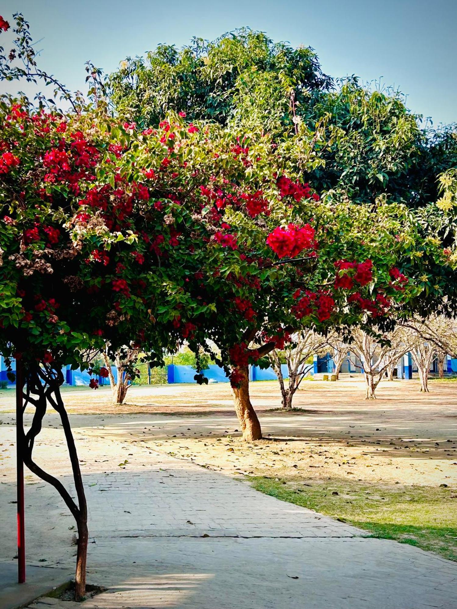 Gooseberry Garden Vila Ayodhya Exterior foto